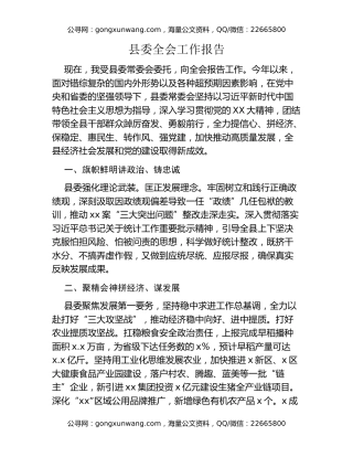 县委全会工作报告