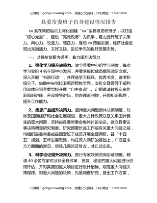 县委常委班子自身建设情况报告