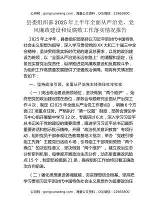 县委组织部2025年上半年全面从严治党、党风廉政建设和反腐败工作落实情况报告