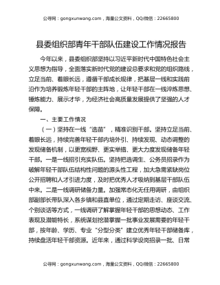 县委组织部青年干部队伍建设工作情况报告