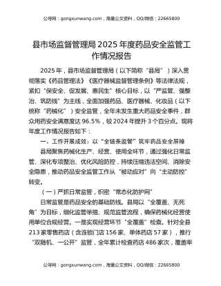 县市场监督管理局2025年度药品安全监管工作情况报告