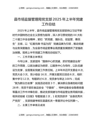 县市场监督管理局党支部2025年上半年党建工作总结