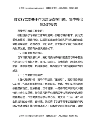 县支行党委关于作风建设查摆问题、集中整治情况的报告