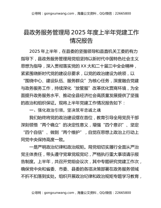 县政务服务管理局2025年度上半年党建工作情况报告