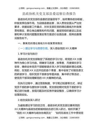 县政协机关党支部县委巡察自查报告