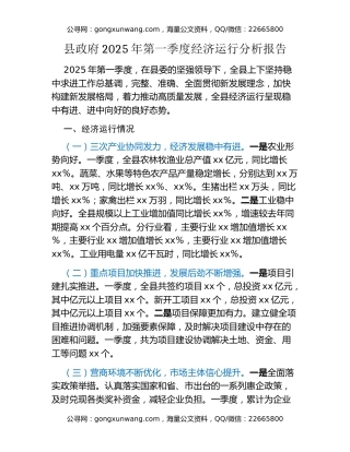 县政府2025年第一季度经济运行分析报告