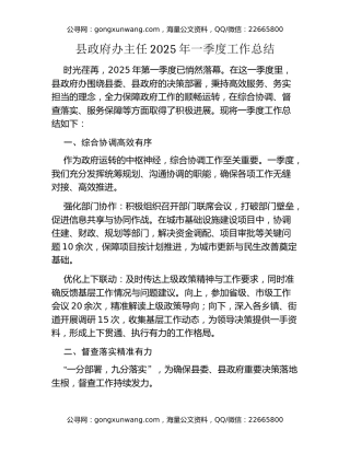 县政府办主任2025年一季度工作总结
