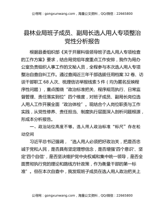 县林业局班子成员、副局长选人用人专项整治党性分析报告