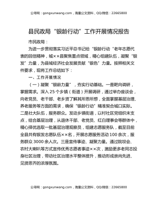 县民政局“银龄行动”工作开展情况报告