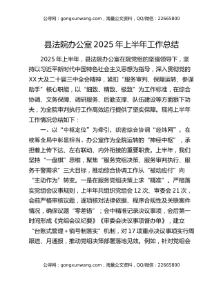 县法院办公室2025年上半年工作总结
