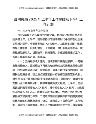 县税务局2025年上半年工作总结及下半年工作计划