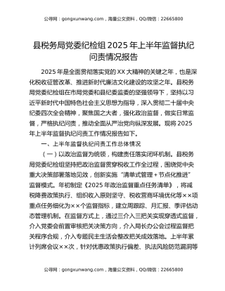 县税务局党委纪检组2025年上半年监督执纪问责情况报告