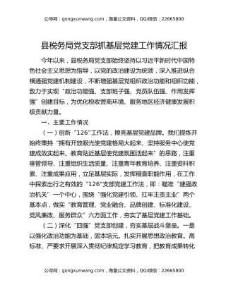 县税务局党支部抓基层党建工作情况汇报