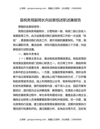 县税务局副局长向巡察组述职述廉报告