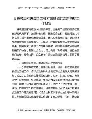 县税务局推进综合治税打造精诚共治新格局工作报告
