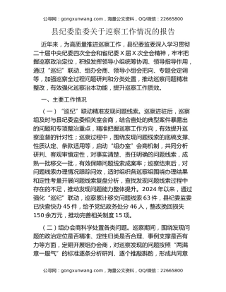 县纪委监委关于巡察工作情况的报告