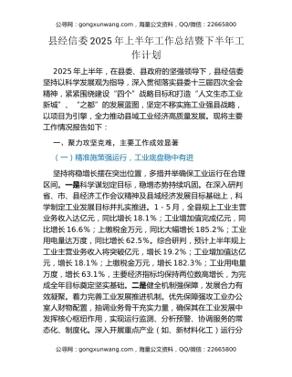 县经信委2025年上半年工作总结暨下半年工作计划