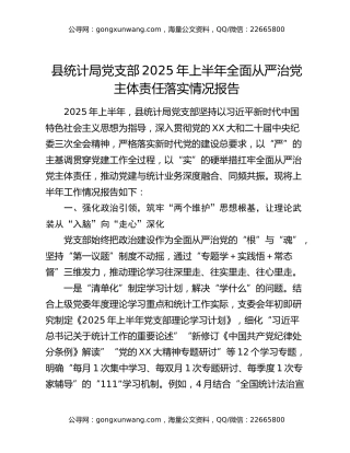 县统计局党支部2025年上半年全面从严治党主体责任落实情况报告