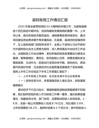 县财政局工作情况汇报