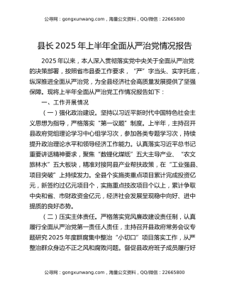 县长2025年上半年全面从严治党情况报告