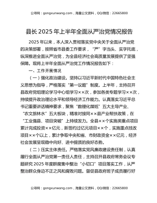 县长2025年上半年全面从严治党情况报告（2）