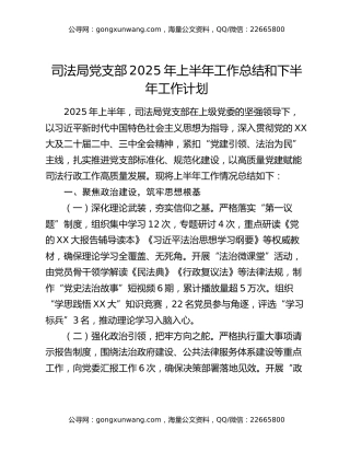 司法局党支部2025年上半年工作总结和下半年工作计划 (2)