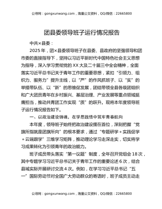 团县委领导班子运行情况报告