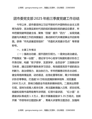 团市委党支部2025年前三季度党建工作总结