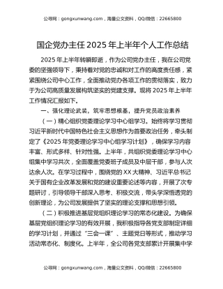 国企党办主任2025年上半年个人工作总结 (2)