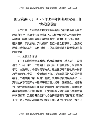 国企党委关于2025年上半年抓基层党建工作情况的报告