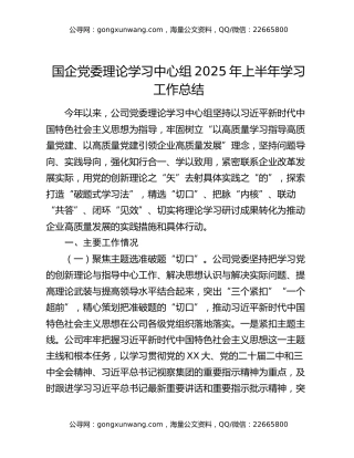 国企党委理论学习中心组2025年上半年学习工作总结