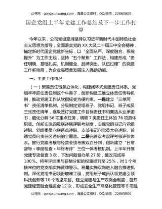 国企党组上半年党建工作总结及下一步工作打算