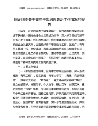 国企团委关于青年干部思想政治工作情况的报告