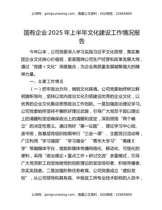 国有企业2025年上半年文化建设工作情况报告