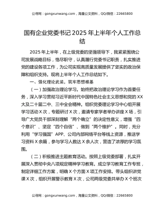 国有企业党委书记2025年上半年个人工作总结