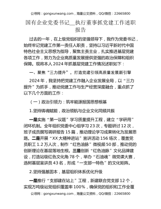 国有企业党委书记_执行董事抓党建工作述职报告