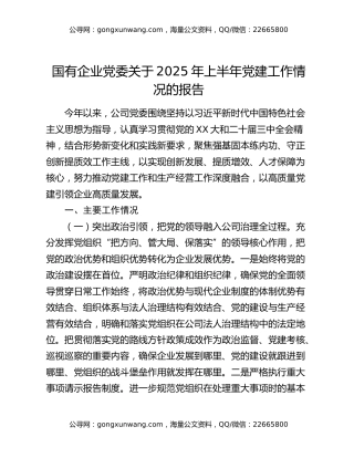 国有企业党委关于2025年上半年党建工作情况的报告