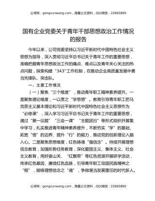 国有企业党委关于青年干部思想政治工作情况的报告