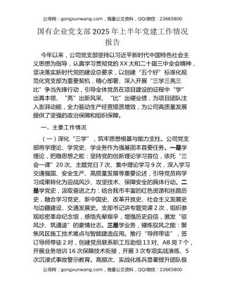 国有企业党支部2025年上半年党建工作情况报告