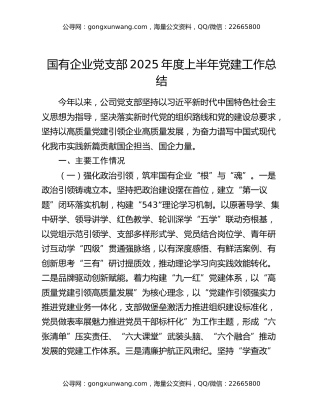 国有企业党支部2025年度上半年党建工作总结