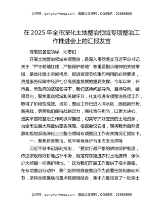 在2025年全市深化土地整治领域专项整治工作推进会上的汇报发言