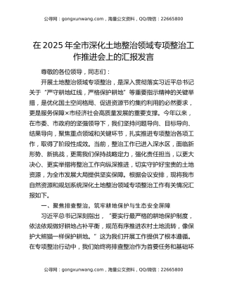 在2025年全市深化土地整治领域专项整治工作推进会上的汇报发言（3）