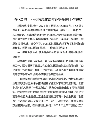 在XX县工业和信息化局挂职锻炼的工作总结