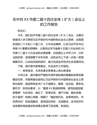 在中共XX市委二届十四次全体（扩大）会议上的工作报告