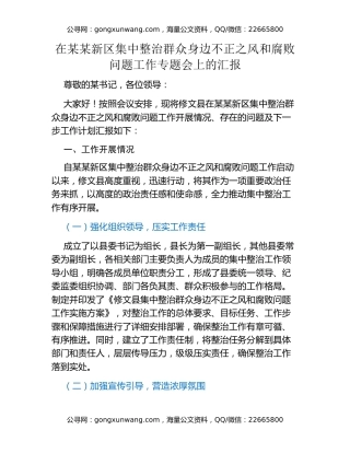 在某某新区集中整治群众身边不正之风和腐败问题工作专题会上的汇报