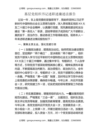 基层党组织书记述职述廉述法报告