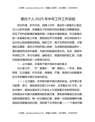 委办个人2025年半年工作工作总结