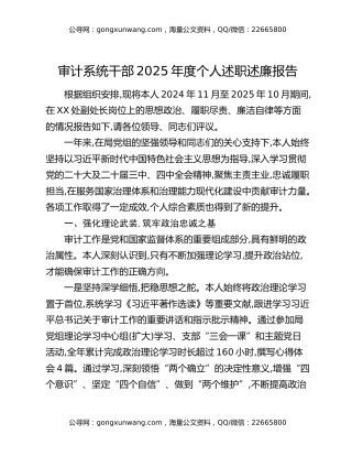 审计系统干部2025年度个人述职述廉报告