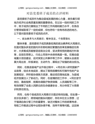 对县党委班子成员的点评材料