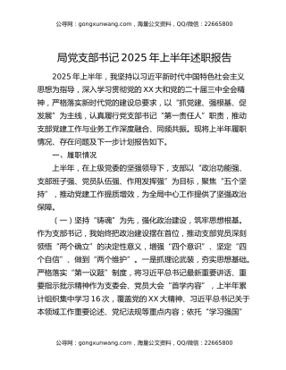 局党支部书记2025年上半年述职报告